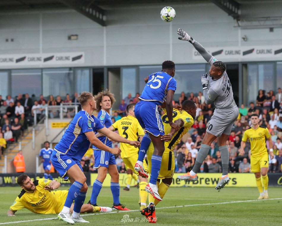 联赛的整体 联赛的整体