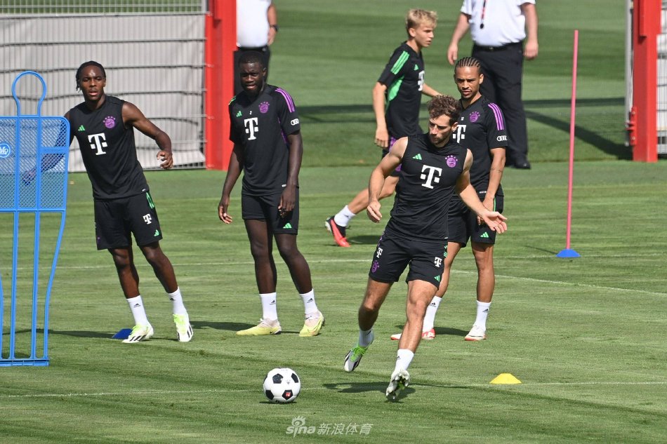 巩固阵容的 巩固阵容的