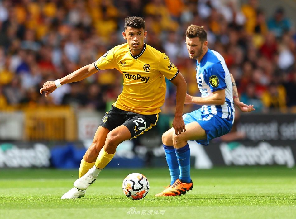 为山东鲁能 为山东鲁能